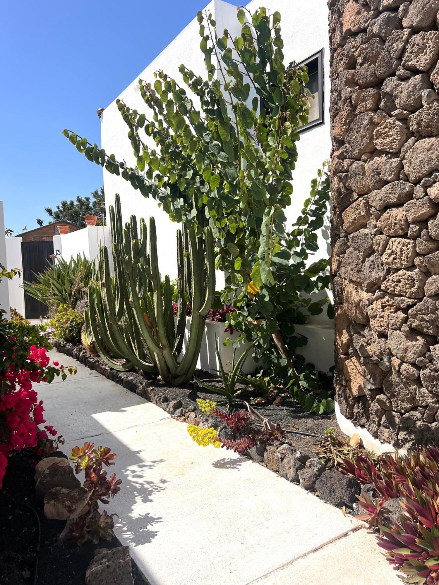 Oasis En Lanzarote Villa Costa Teguise Eksteriør bilde