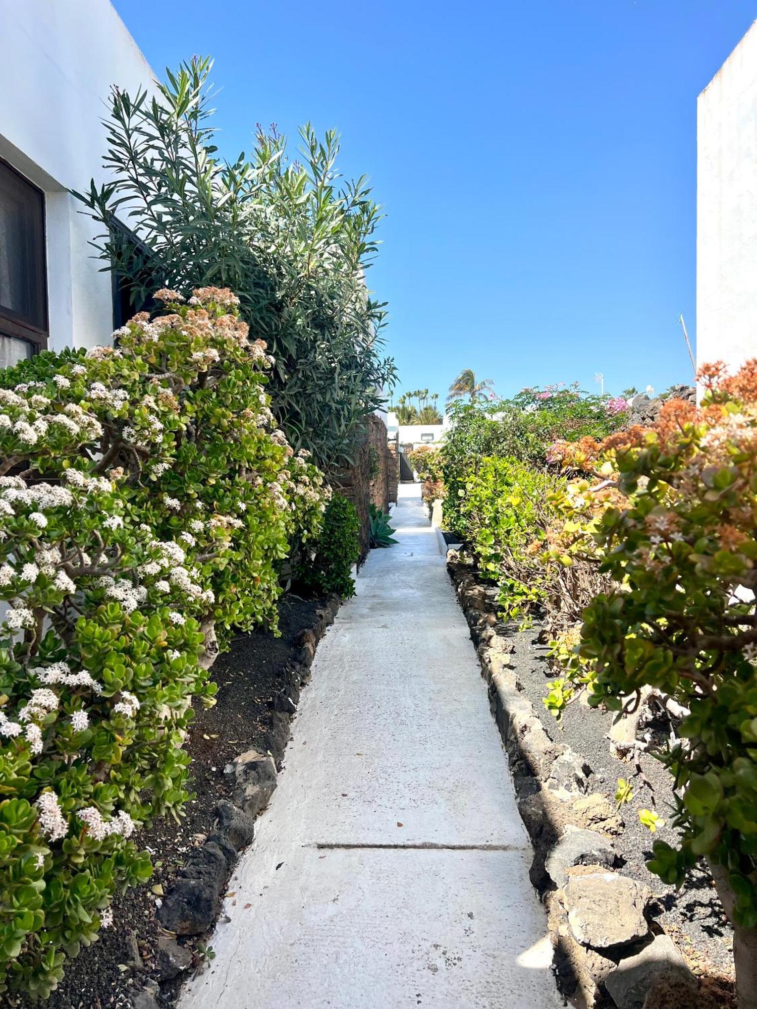 Oasis En Lanzarote Villa Costa Teguise Eksteriør bilde