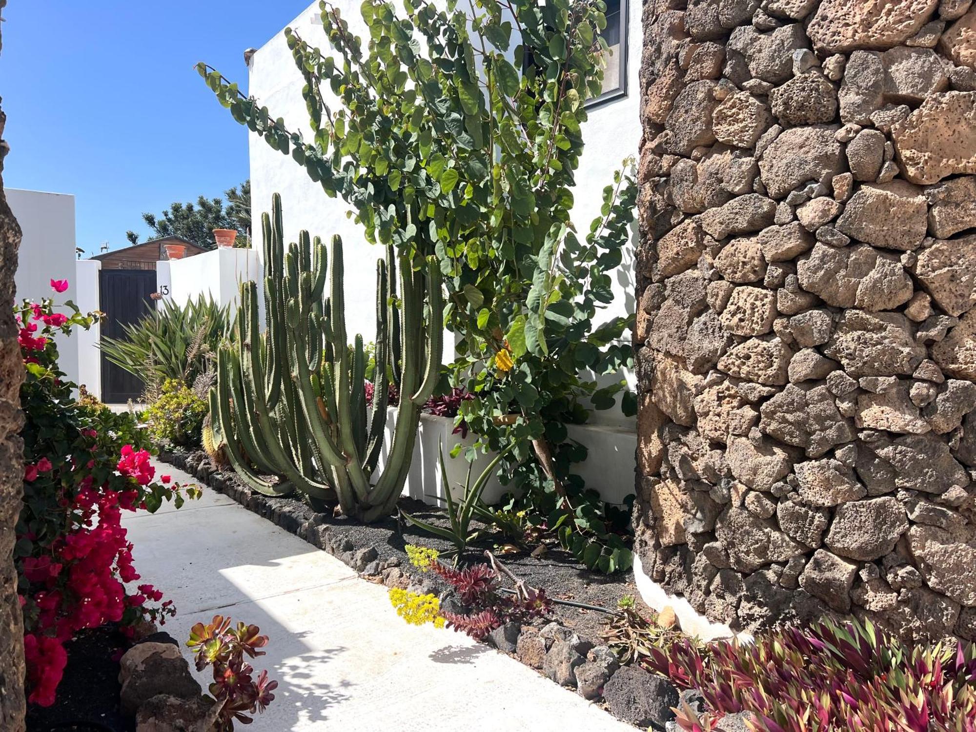 Oasis En Lanzarote Villa Costa Teguise Eksteriør bilde